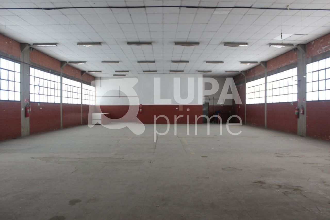 Depósito-Galpão, 2800 m² - Foto 18