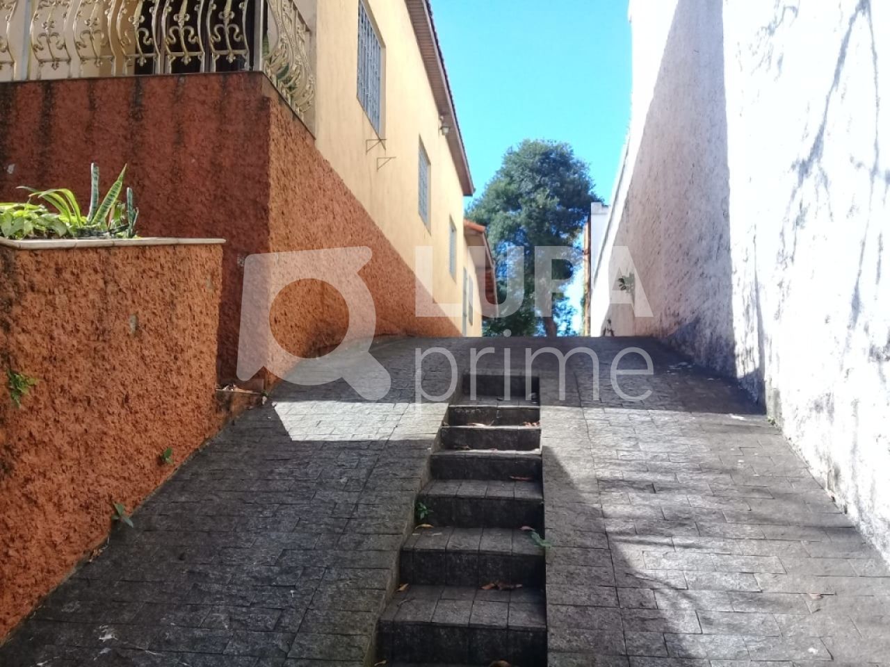 terreno-venda-sao-paulo-tucuruvi-830m2-LS26232