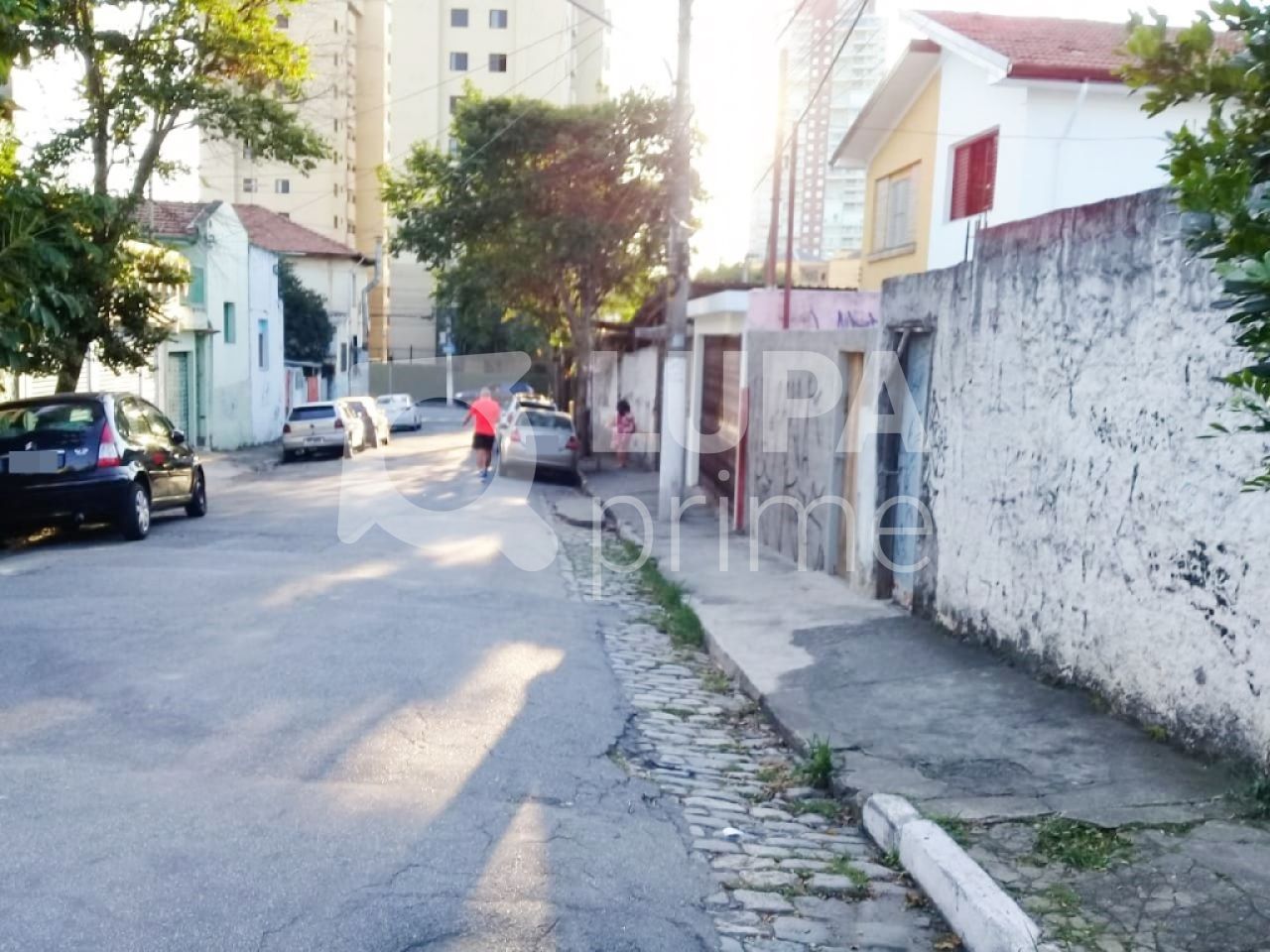 terreno-venda-sao-paulo-parada-inglesa-216m2-LS26233