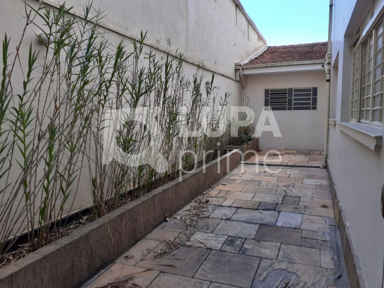 predio-venda-sao-paulo-santana-490m2-LS26237