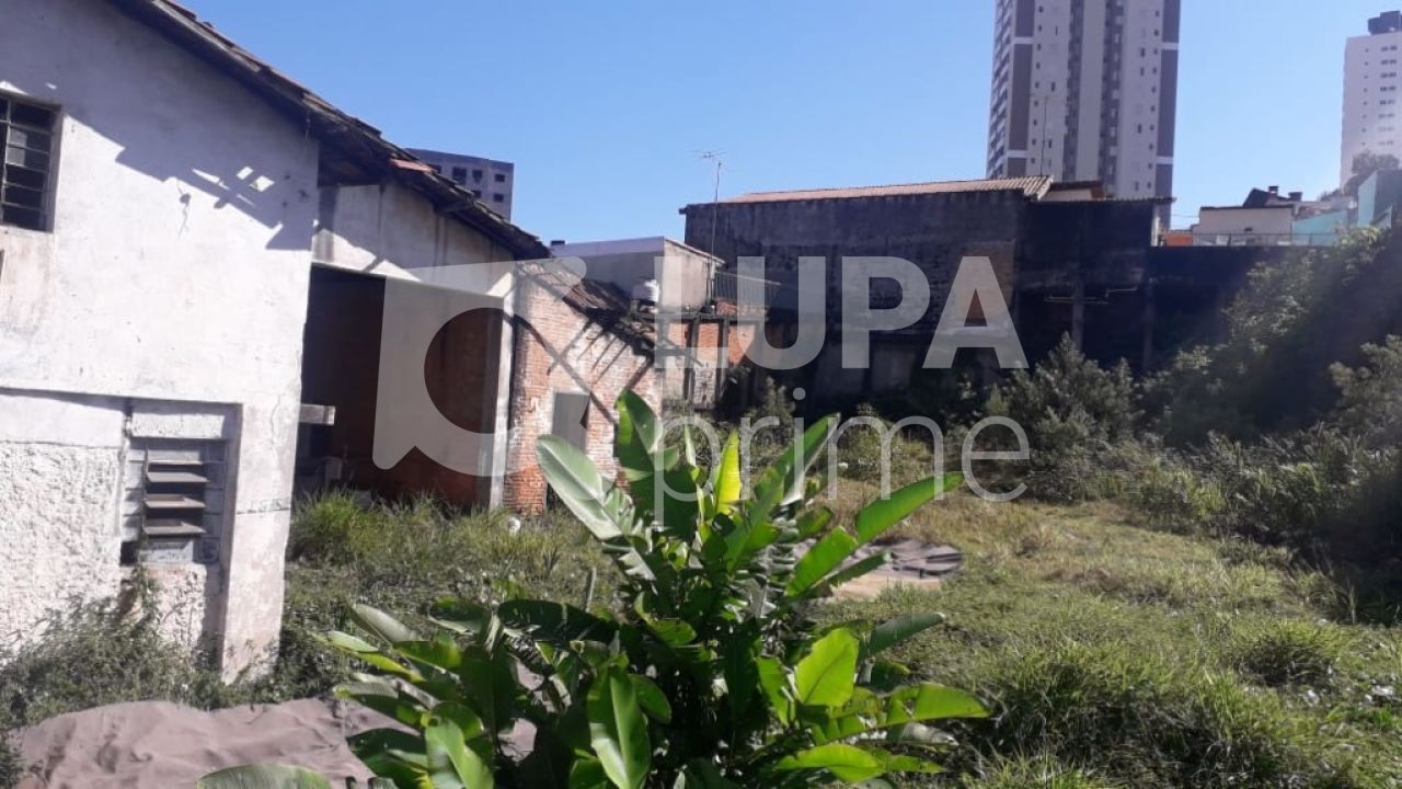 terreno-venda-sao-paulo-vila-romero-960m2-LS26306
