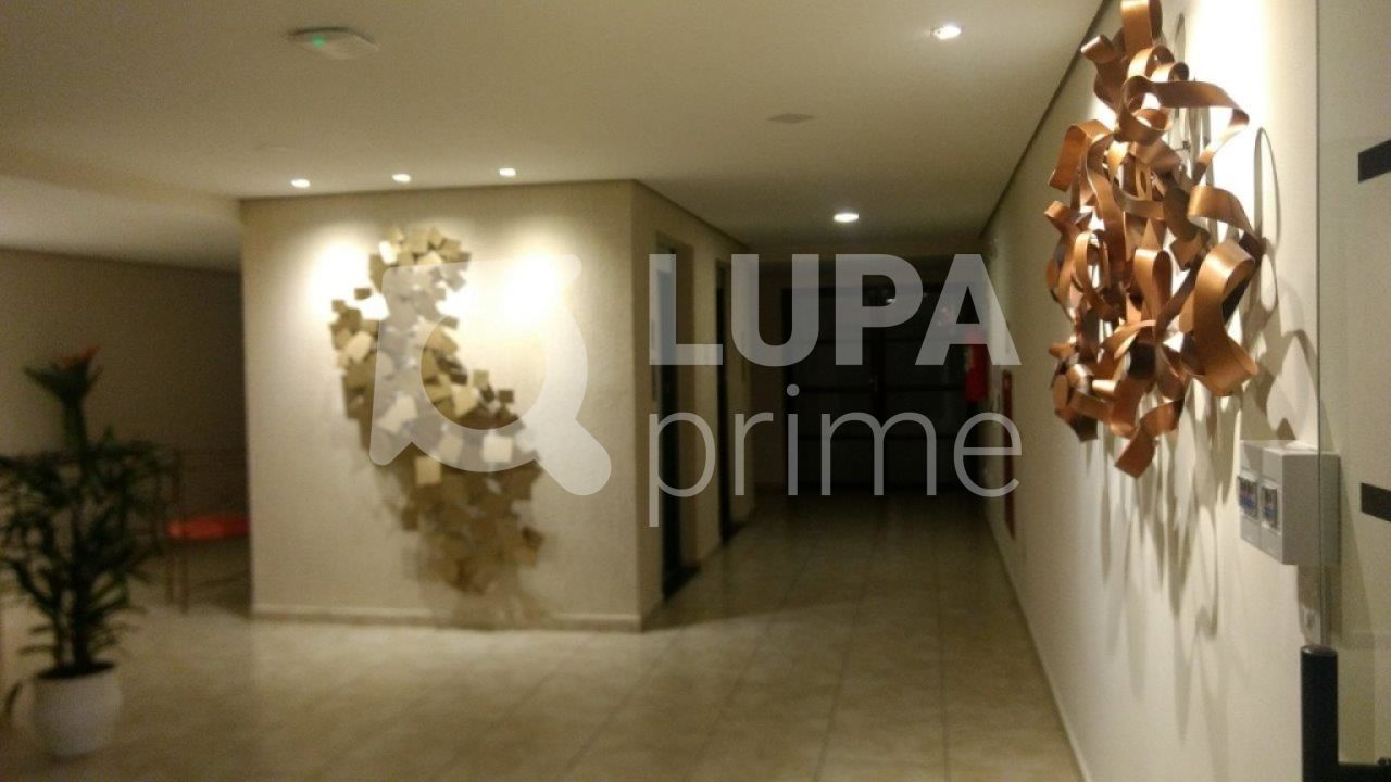 apartamento-venda-sao-paulo-piqueri-2dormitorios-1suite-2vagas-57m2-LS26367