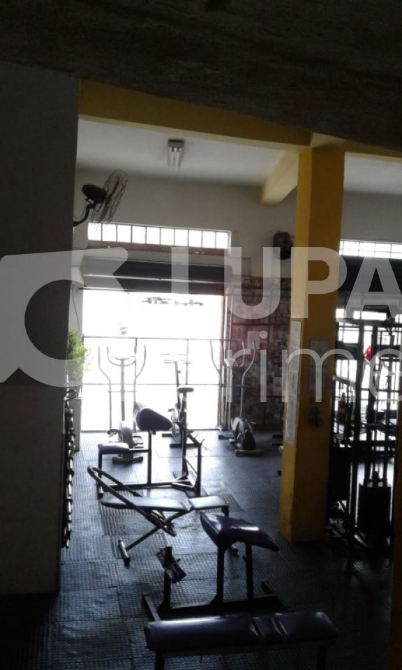 Casa, 6 quartos, 300 m² - Foto 12