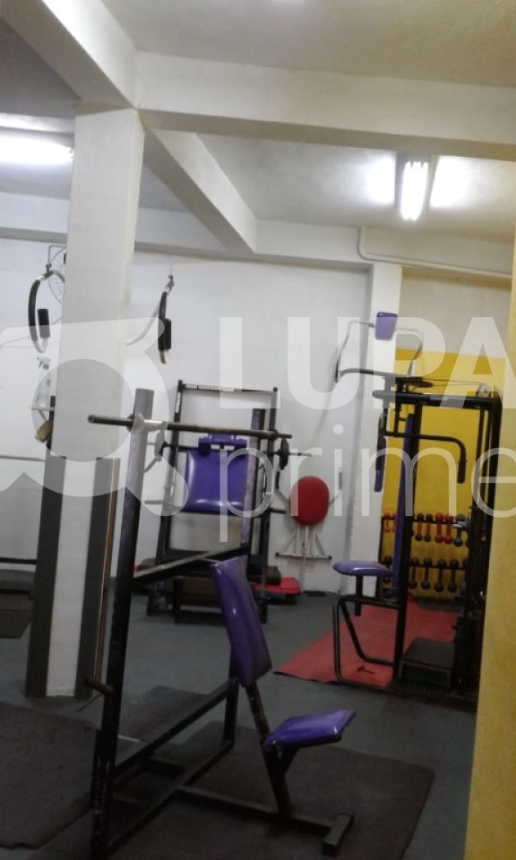 Casa, 6 quartos, 300 m² - Foto 13