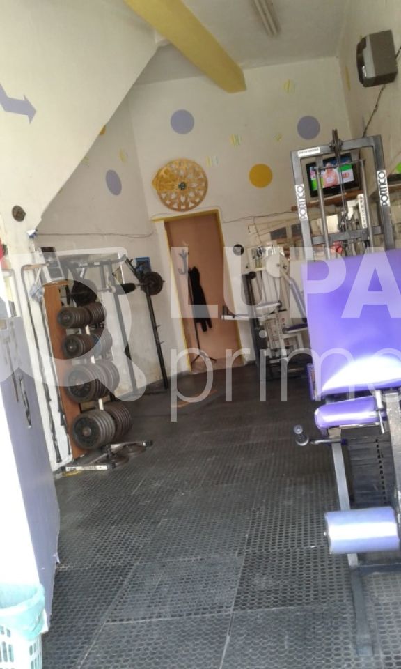 Casa, 6 quartos, 300 m² - Foto 15