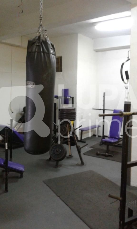 Casa, 6 quartos, 300 m² - Foto 17