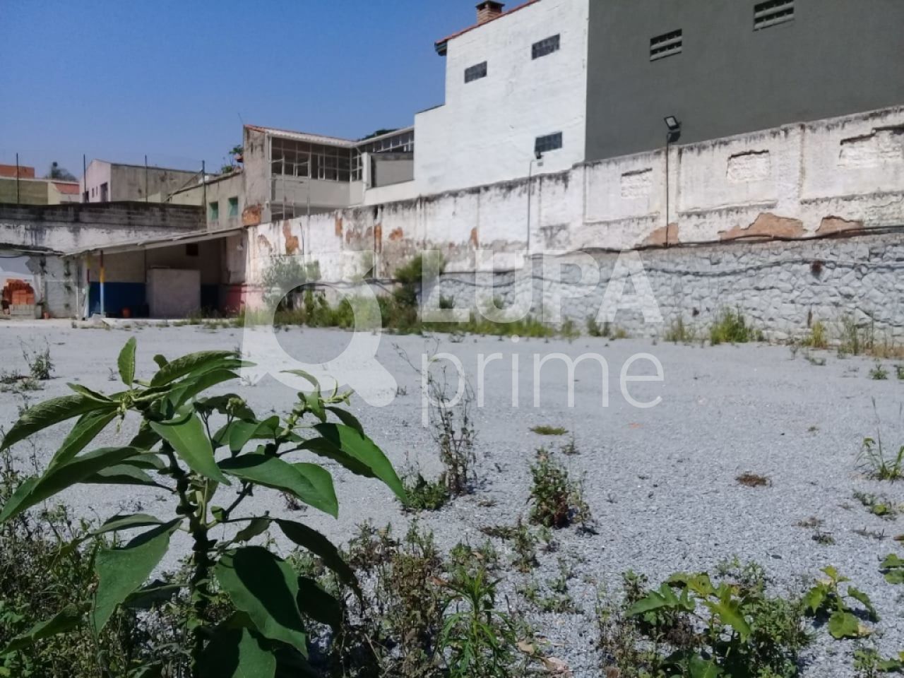 terreno-locacao-sao-paulo-agua-fria-600m2-LS26927