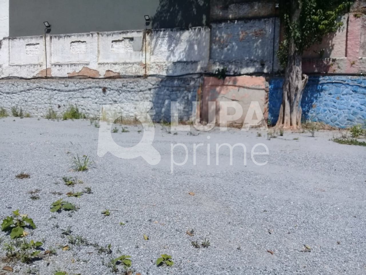 terreno-locacao-sao-paulo-agua-fria-600m2-LS26927