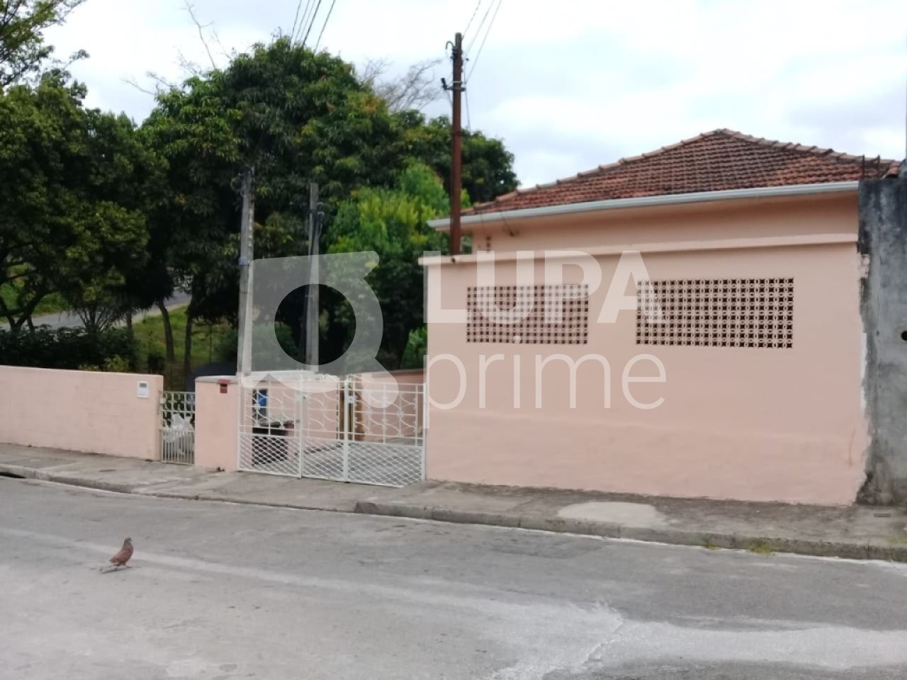 terreno-venda-sao-paulo-tucuruvi-695m2-LS26982