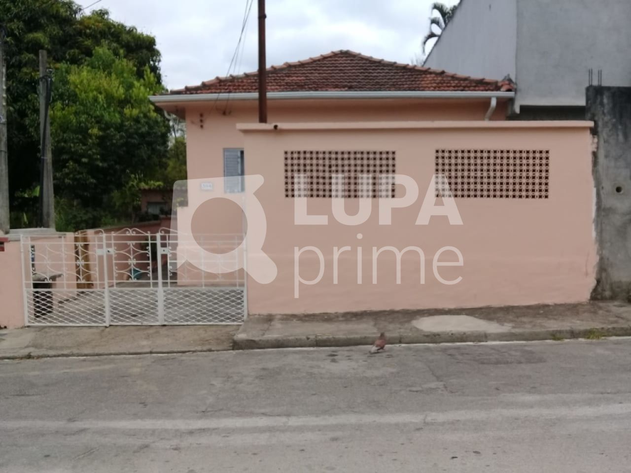 terreno-venda-sao-paulo-tucuruvi-695m2-LS26982