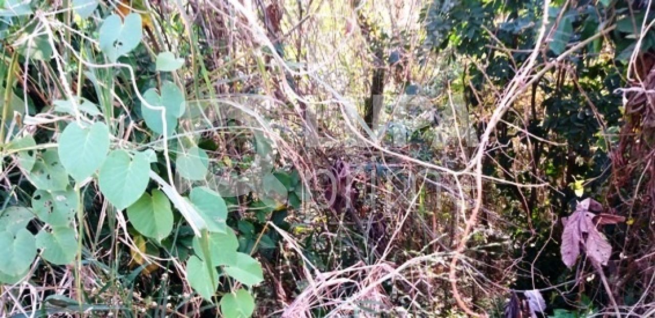 Terreno, 1241 m² - Foto 9