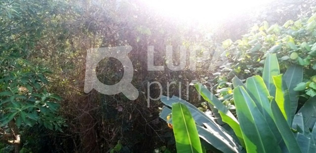 Terreno, 1241 m² - Foto 13