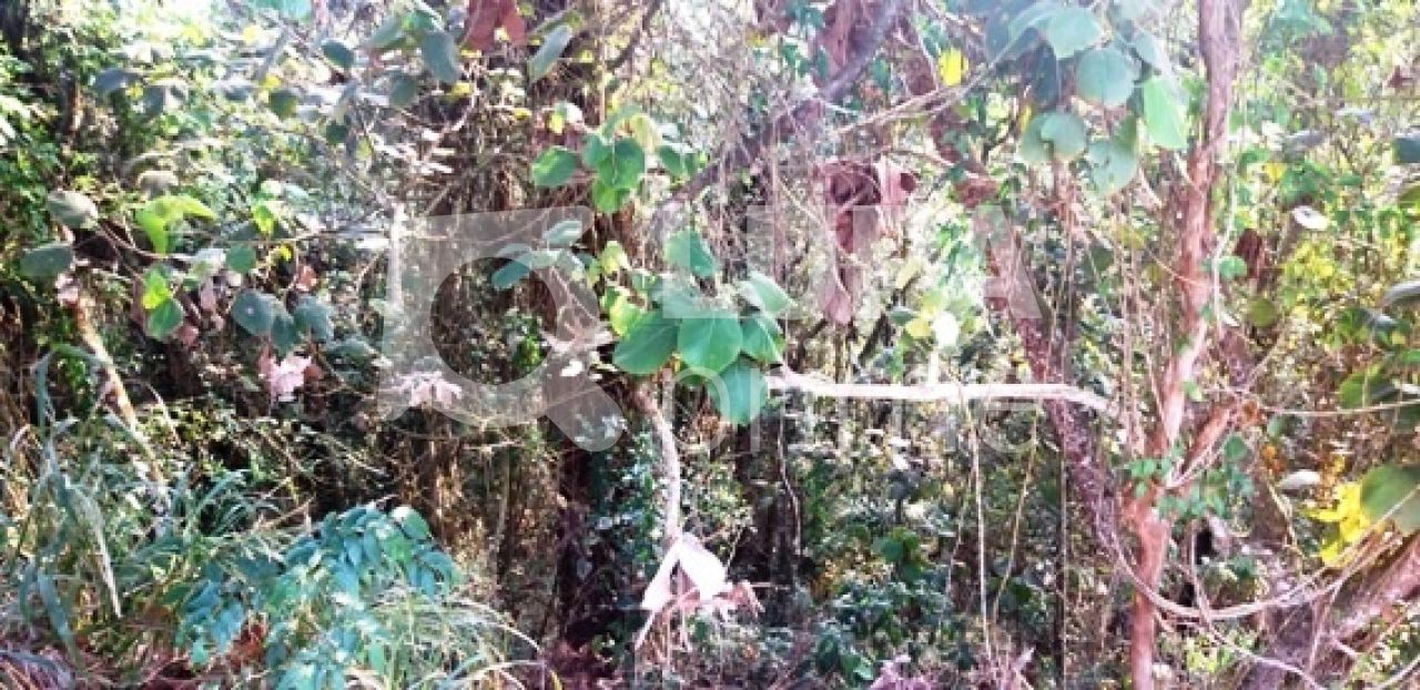 Terreno, 1241 m² - Foto 11