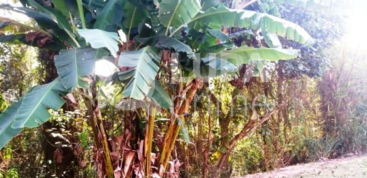 Terreno, 1241 m² - Foto 14