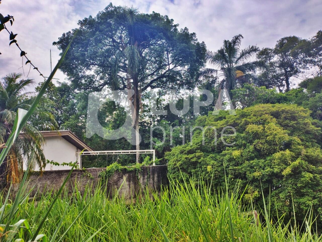 terreno-venda-sao-paulo-tucuruvi-100m2-LS27067