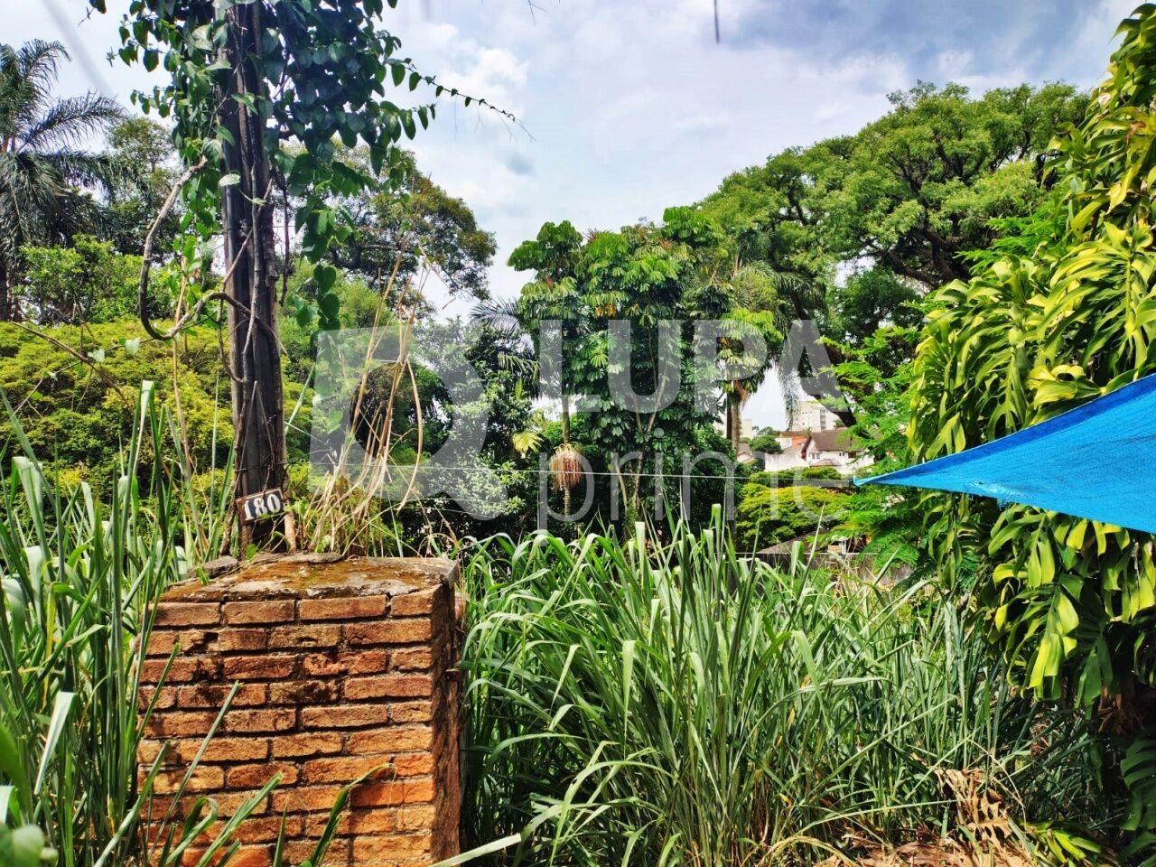 terreno-venda-sao-paulo-tucuruvi-100m2-LS27067