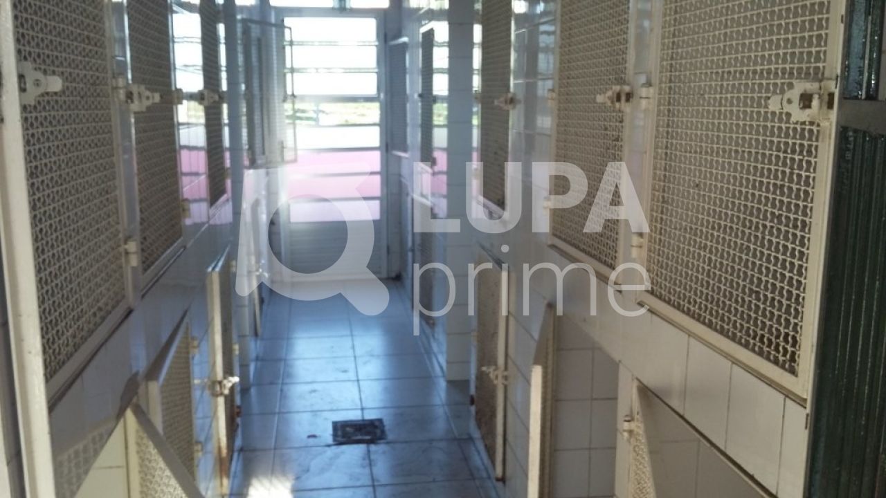 predio-locacao-sao-paulo-santana-300m2-LS27078
