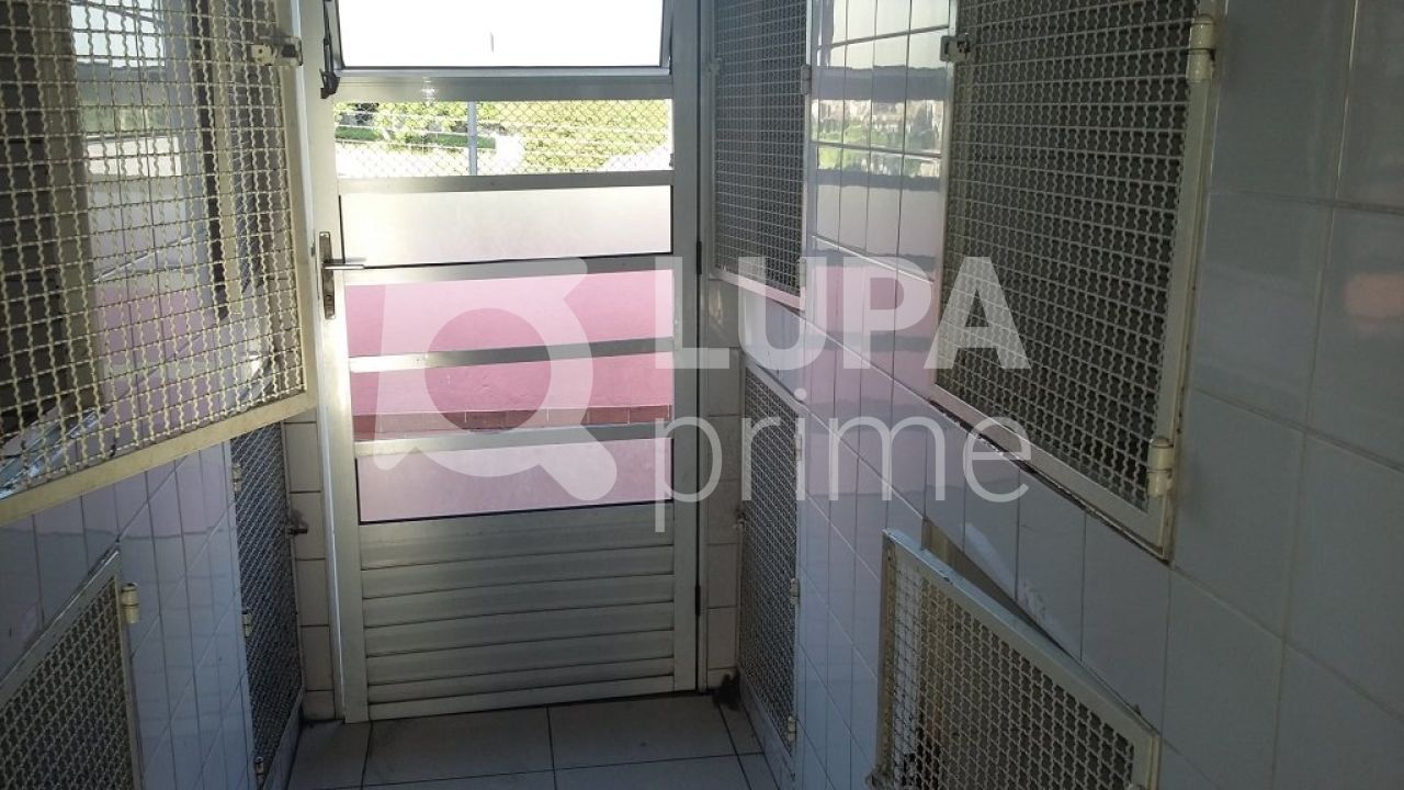 predio-locacao-sao-paulo-santana-300m2-LS27078