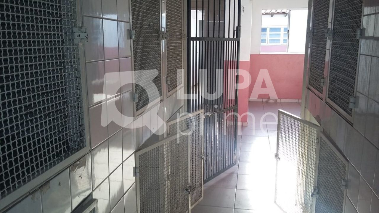 predio-locacao-sao-paulo-santana-300m2-LS27078