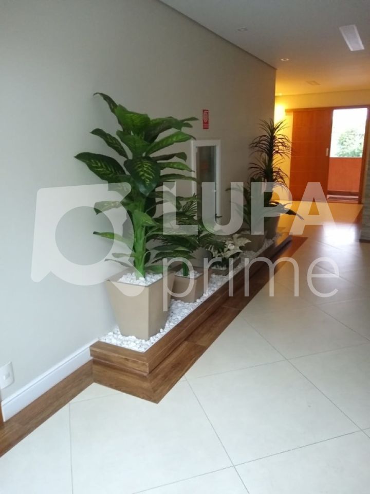 apartamento-venda-sao-paulo-vila-pita-2dormitorios-1vaga-53m2-LS27155