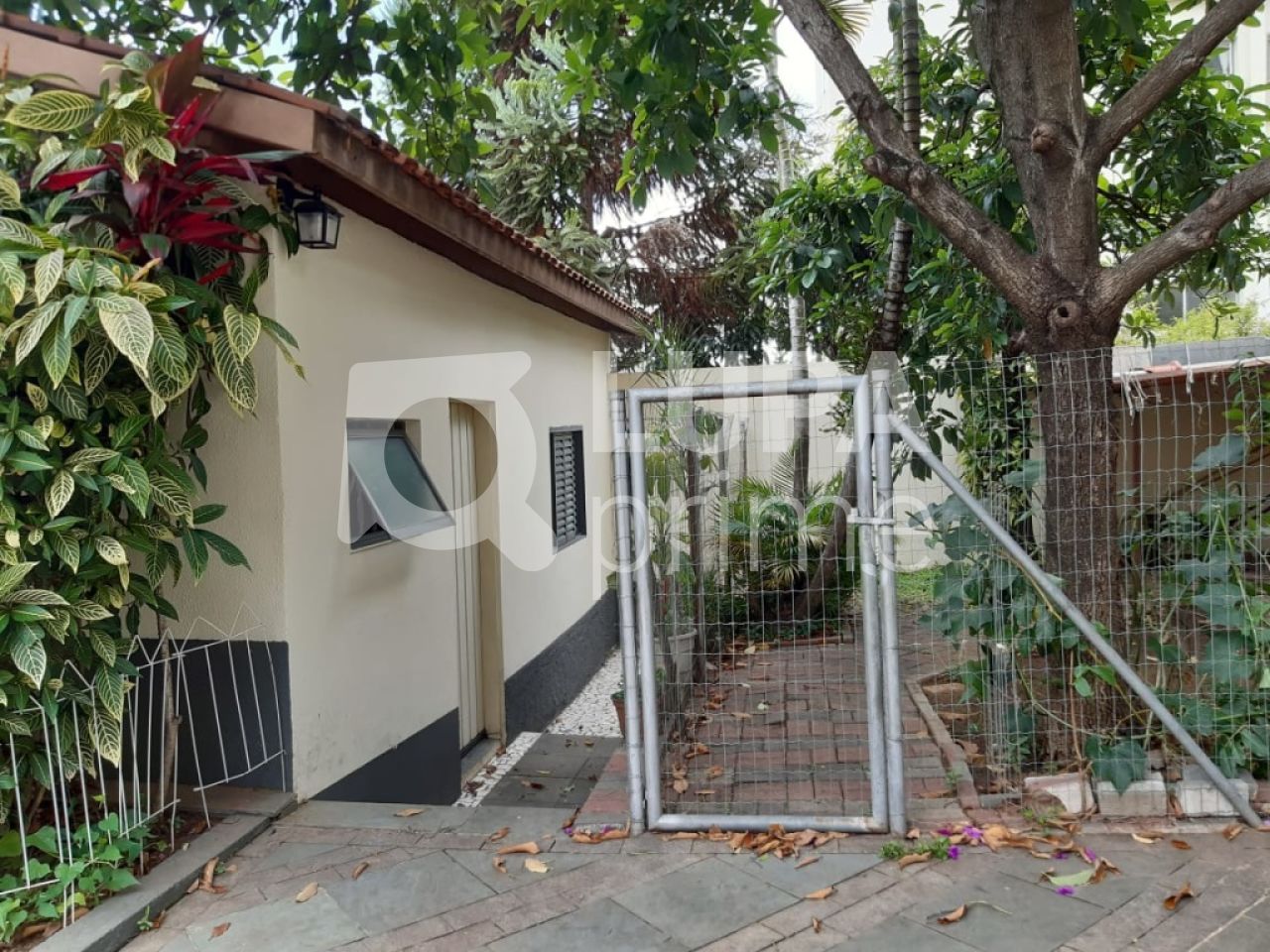 sobrado-venda-sao-paulo-santana-5dormitorios-9vagas-355m2-LS27327