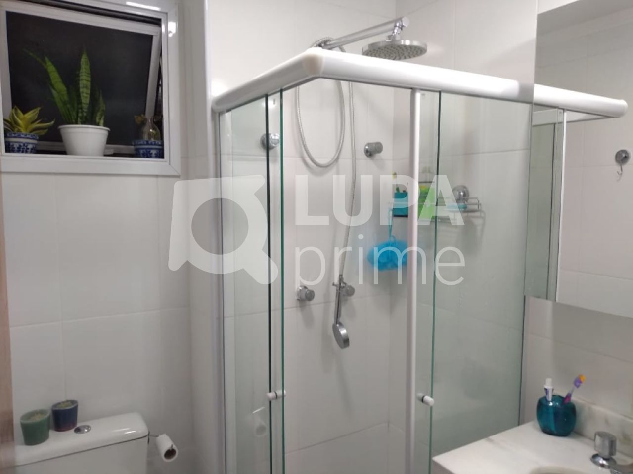 apartamento-venda-sao-paulo-parada-inglesa-2dormitorios-49m2-LS27371