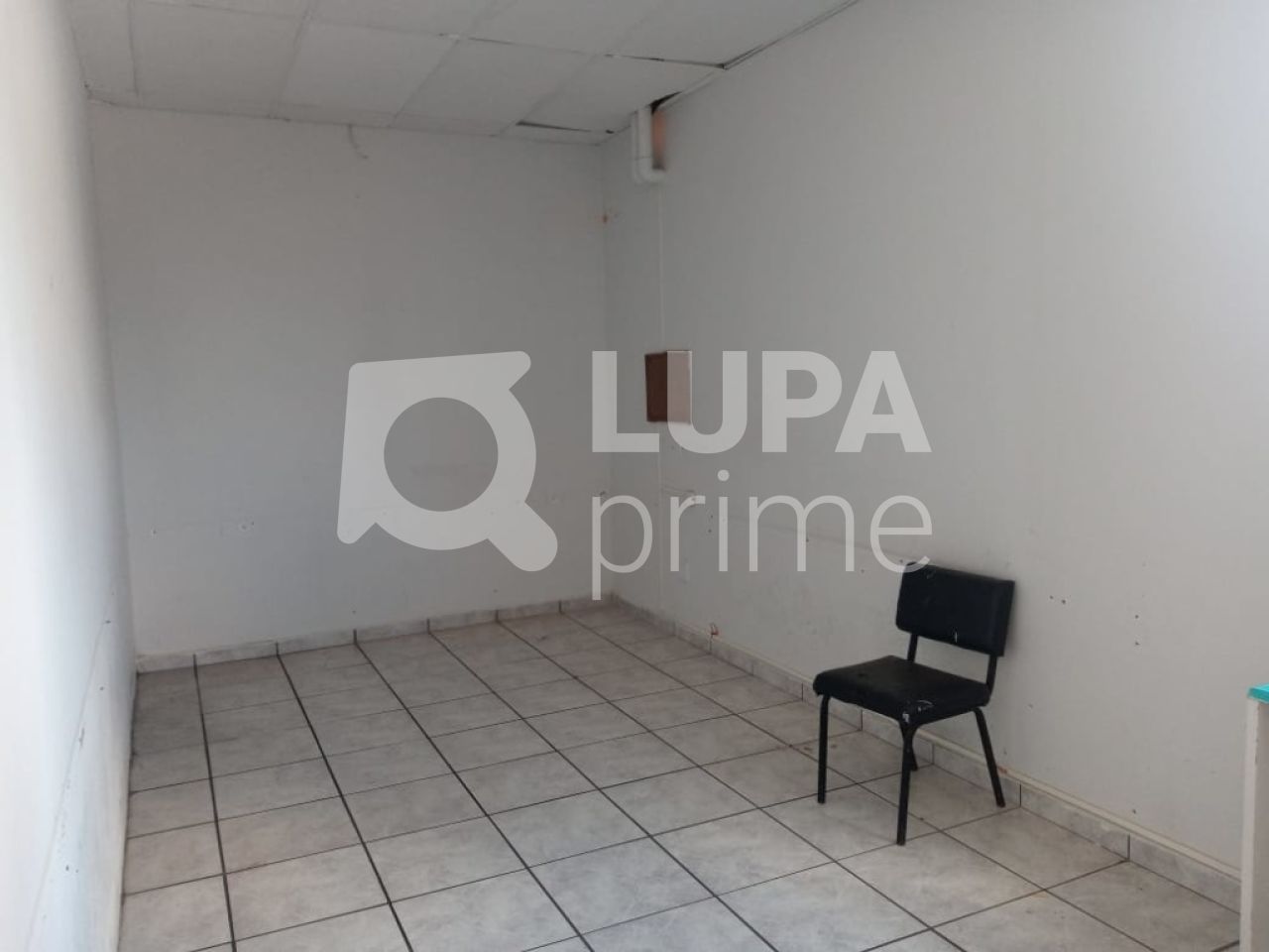 Sala-Conjunto, 190 m² - Foto 4