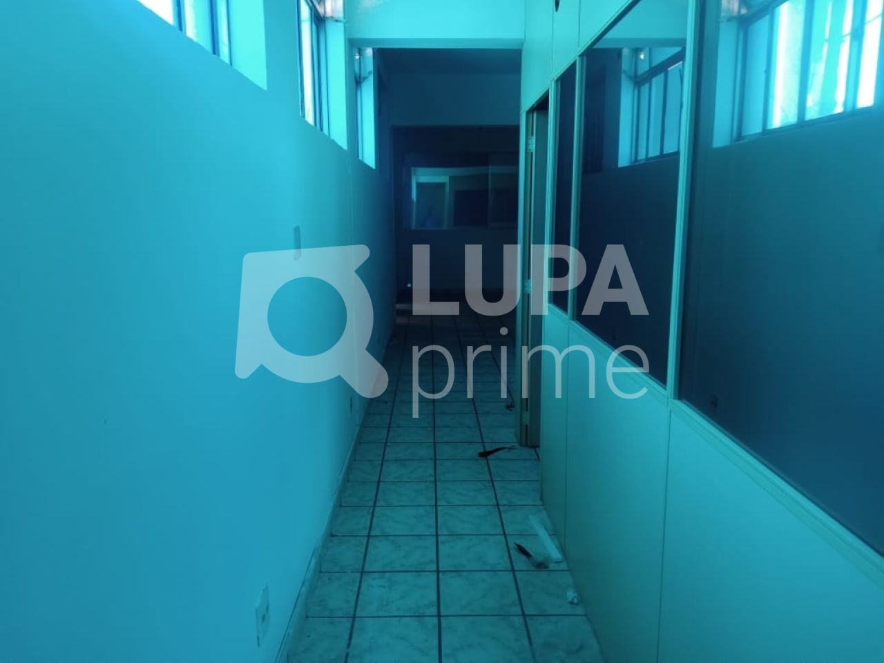 Sala-Conjunto, 175 m² - Foto 6