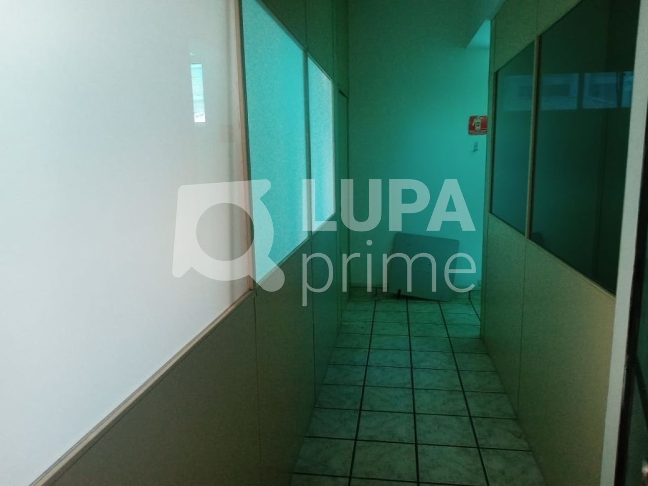 Sala-Conjunto, 175 m² - Foto 8