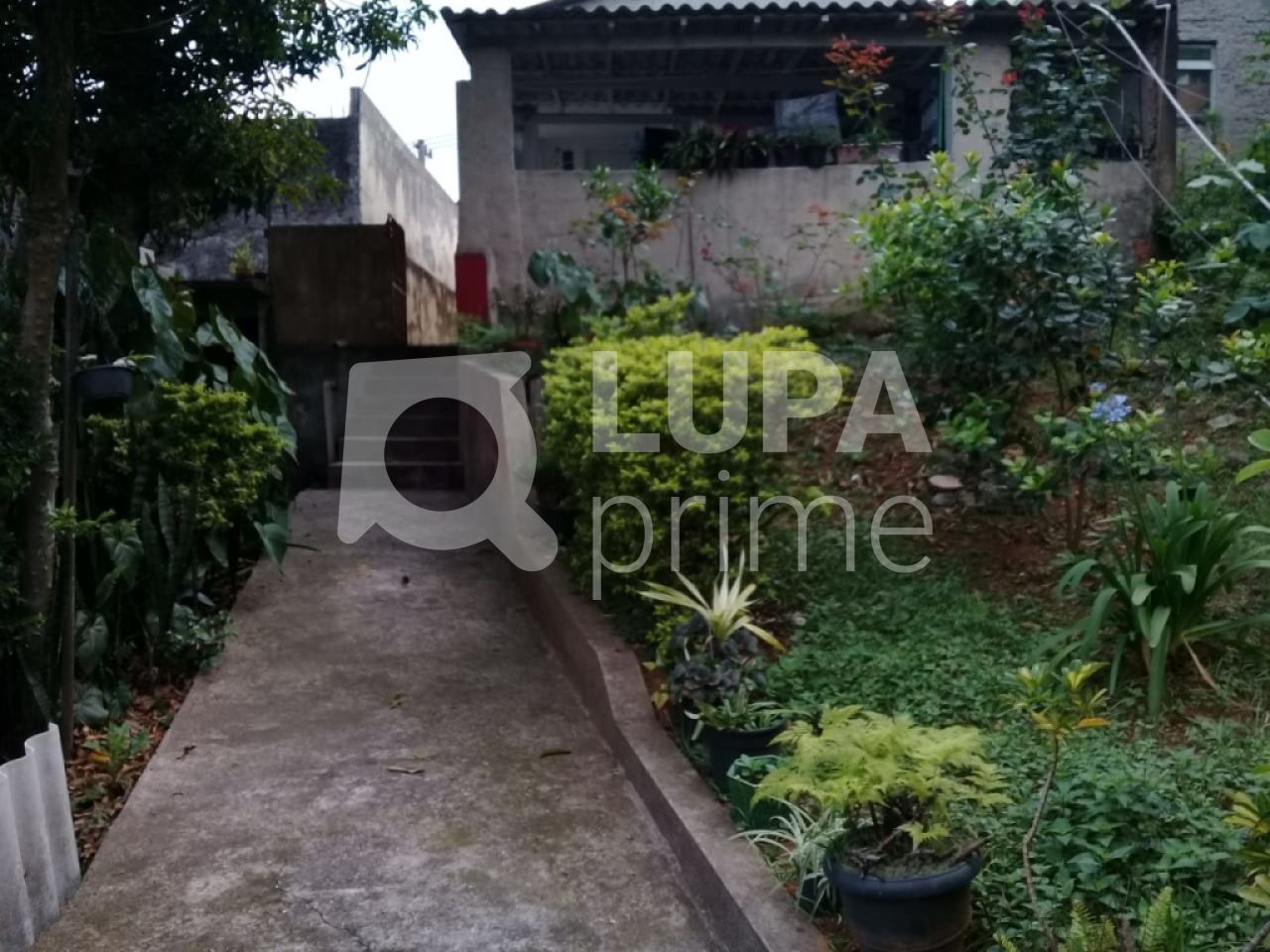 terreno-venda-sao-paulo-tucuruvi-LS27424