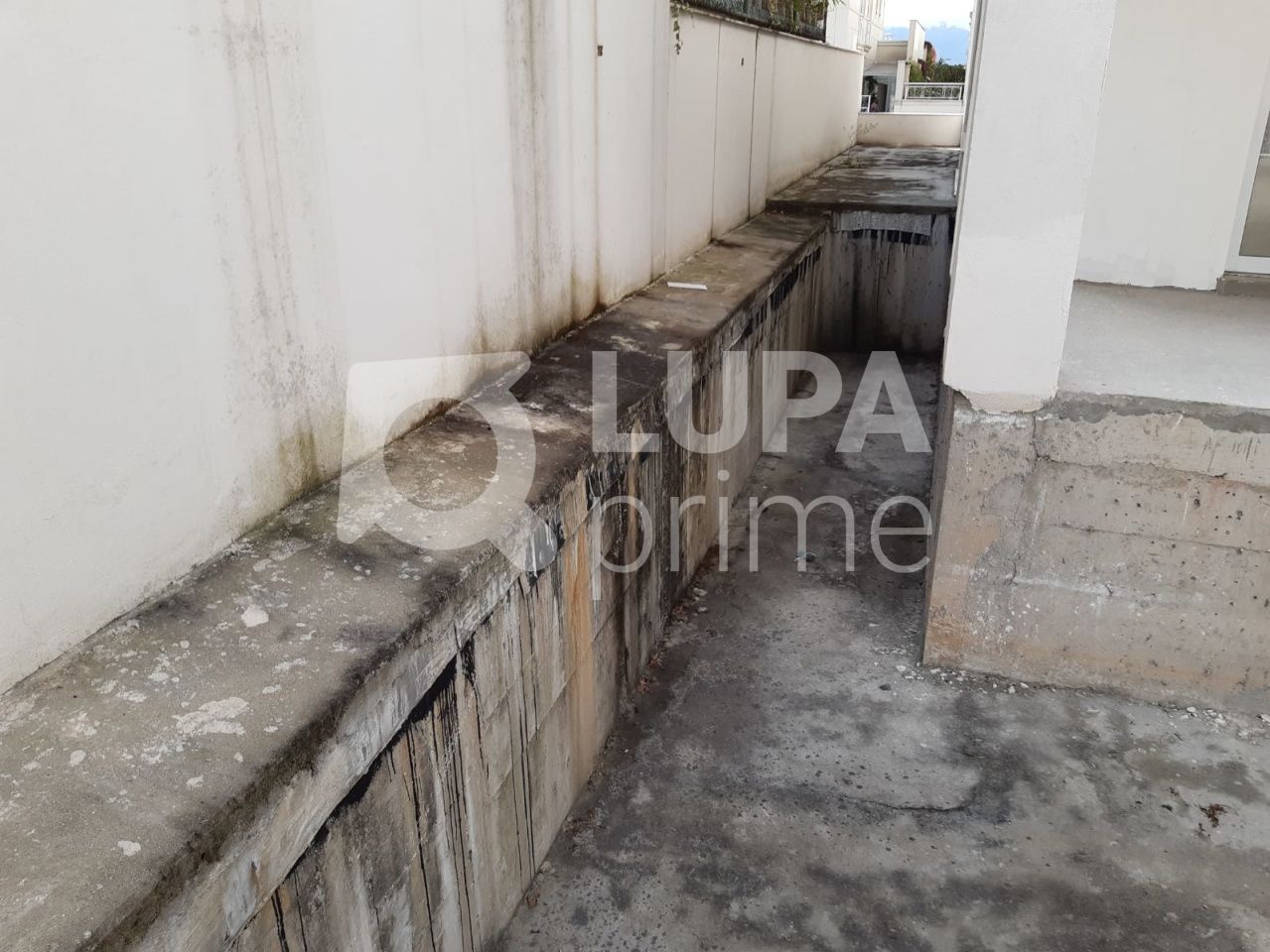 sobrado-venda-sao-paulo-tucuruvi-4dormitorios-4suites-8vagas-560m2-LS27637