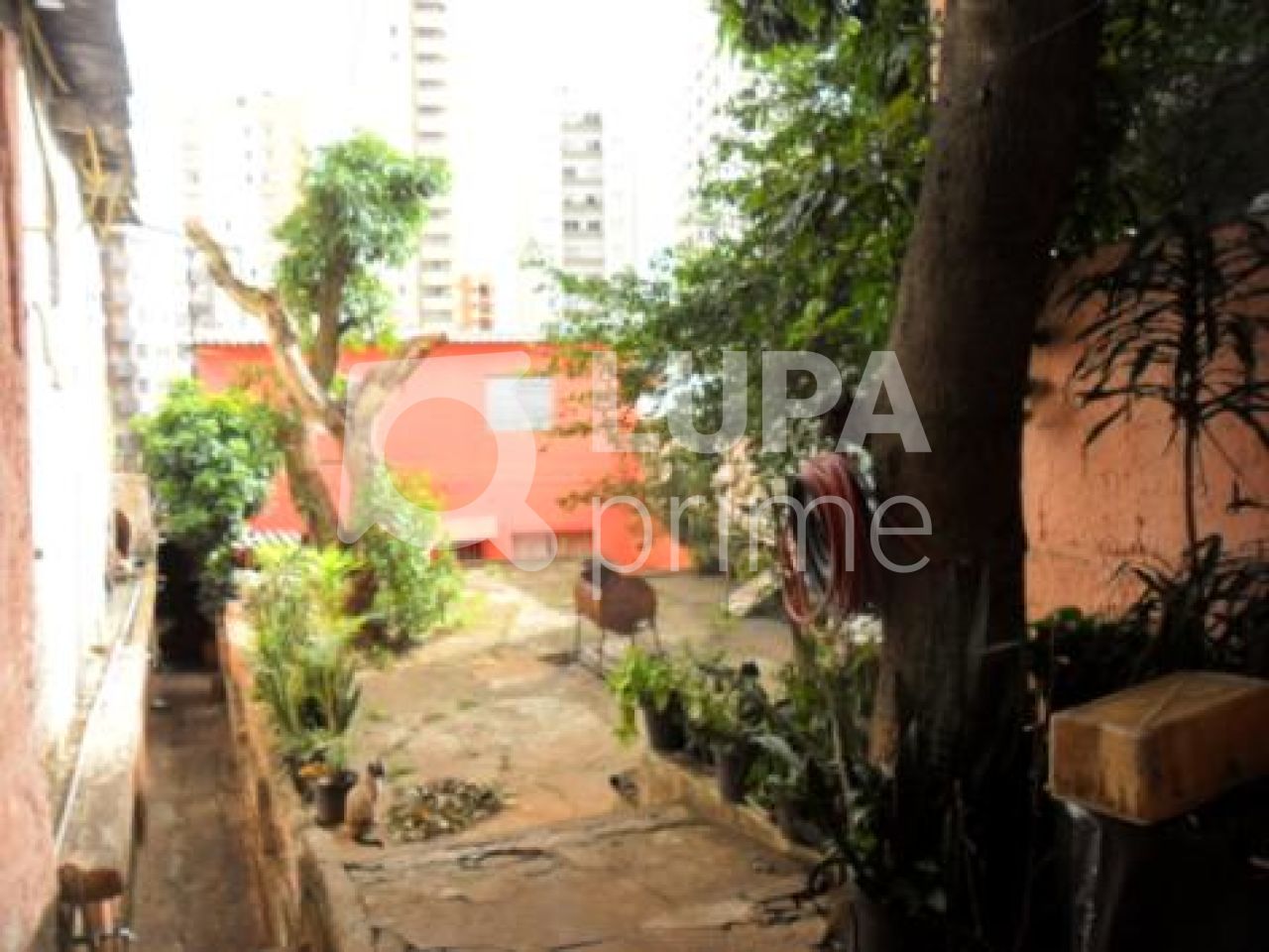 terreno-venda-sao-paulo-parque-mandaqui-LS2767