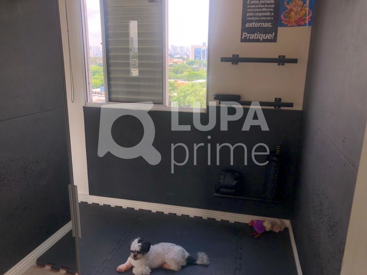 apartamento-venda-sao-paulo-parque-novo-mundo-3dormitorios-1suite-1vaga-66m2-LS27730