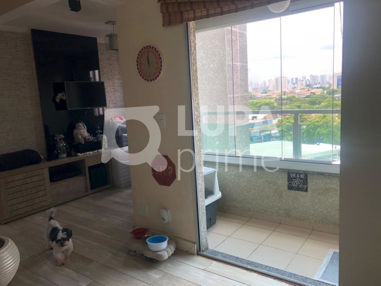 apartamento-venda-sao-paulo-parque-novo-mundo-3dormitorios-1suite-1vaga-66m2-LS27730