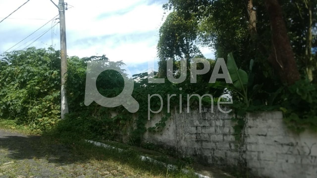 terreno-venda-sao-paulo-horto-florestal-300m2-LS27888