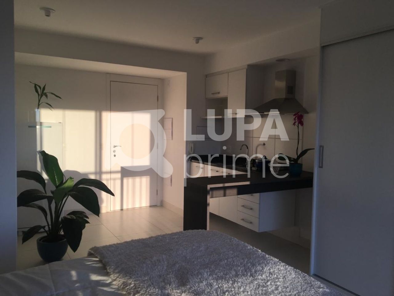 apartamento-venda-sao-paulo-santana-1dormitorio-1vaga-30m2-LS28009