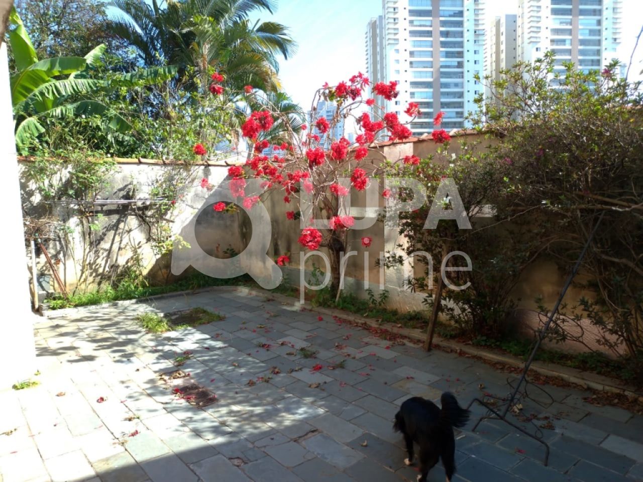 casa-terrea-venda-sao-paulo-lauzane-paulista-5dormitorios-3vagas-280m2-LS28060