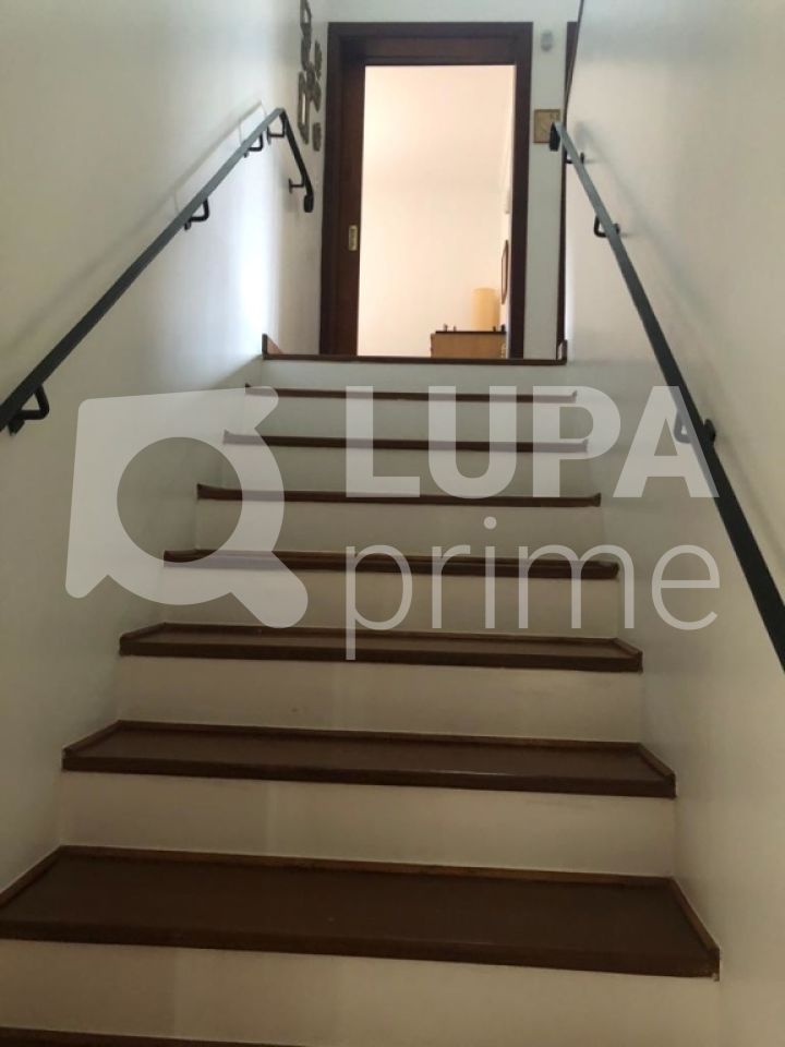 Casa, 4 quartos, 593 m² - Foto 6