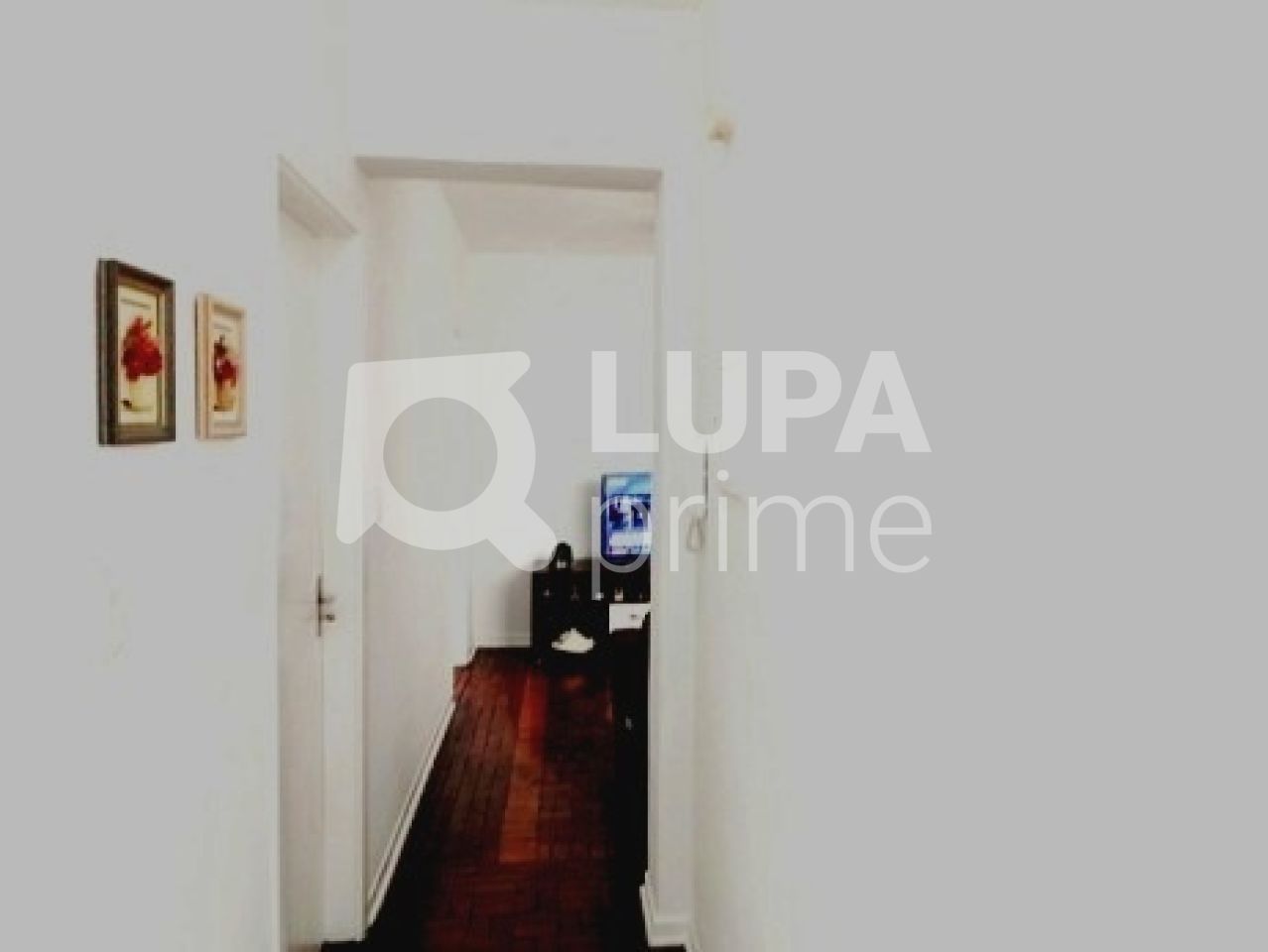 apartamento-venda-sao-paulo-tucuruvi-2dormitorios-75m2-LS28293