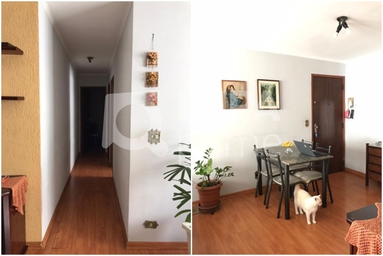 apartamento-venda-sao-paulo-jardim-sonia-2dormitorios-1vaga-61m2-LS28296