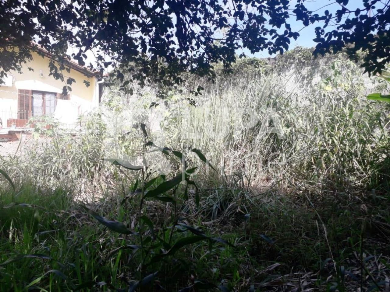 casa-terrea-venda-sao-paulo-tremembe-3dormitorios-1suite-128m2-LS28454