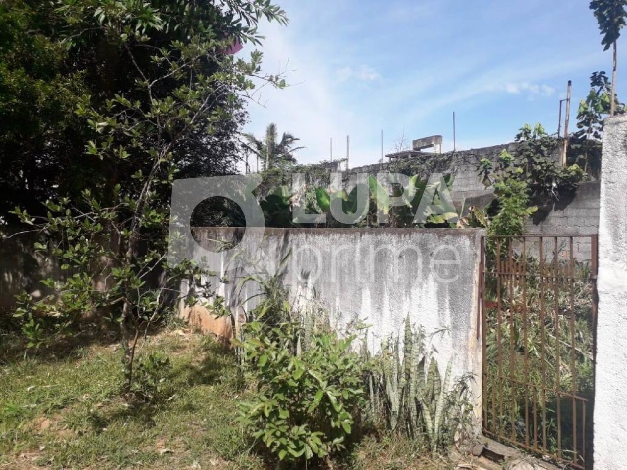 casa-terrea-venda-sao-paulo-tremembe-3dormitorios-1suite-128m2-LS28454