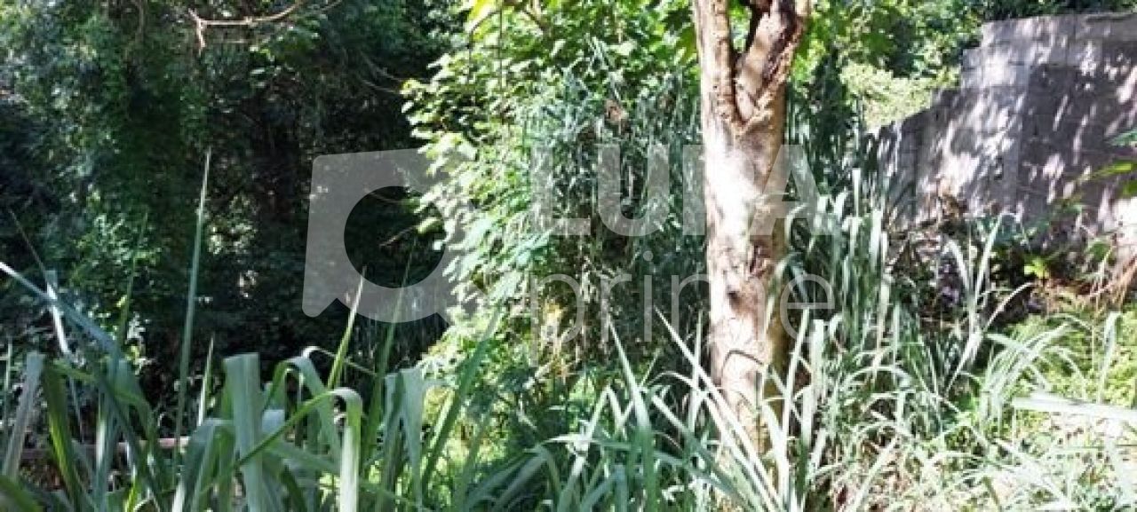 terreno-venda-sao-paulo-tucuruvi-526m2-LS28456