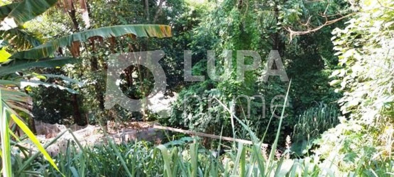 terreno-venda-sao-paulo-tucuruvi-526m2-LS28456