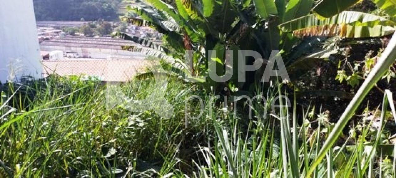 terreno-venda-sao-paulo-tucuruvi-526m2-LS28456