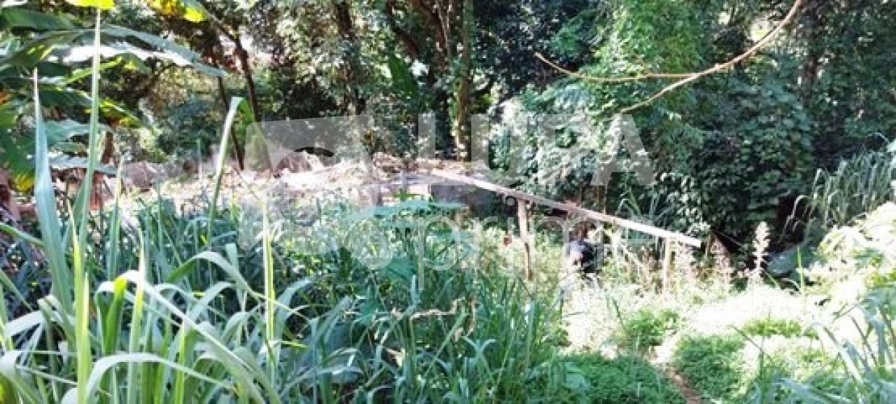 terreno-venda-sao-paulo-tucuruvi-526m2-LS28456