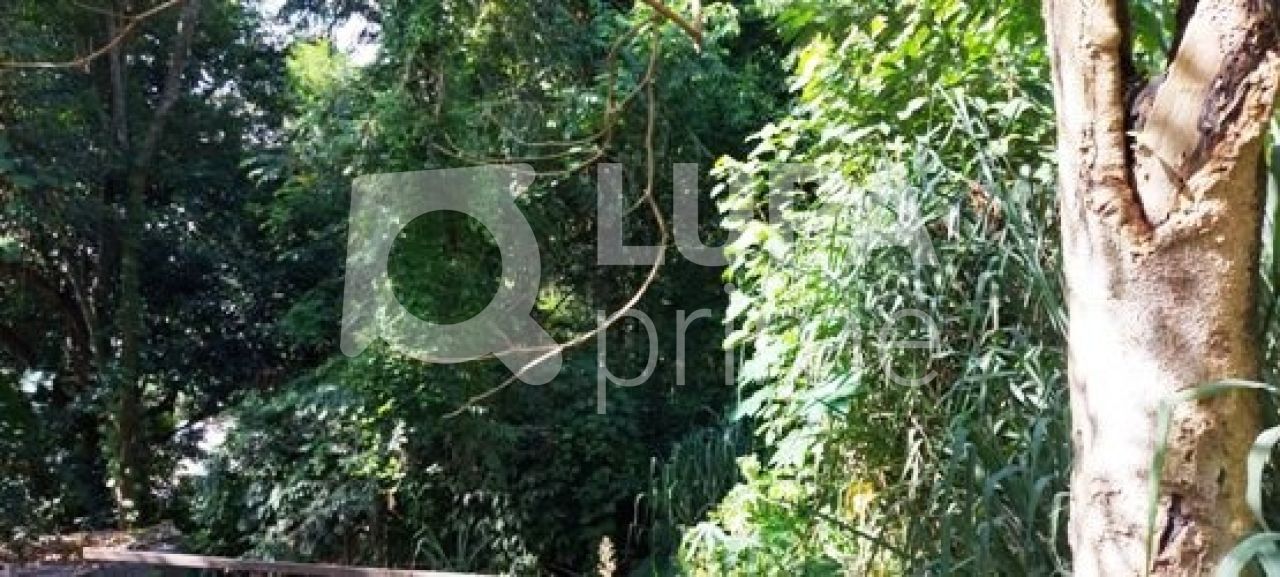 terreno-venda-sao-paulo-tucuruvi-526m2-LS28456