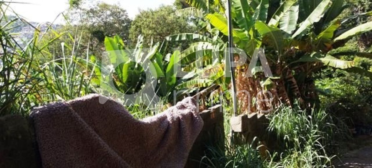 terreno-venda-sao-paulo-tucuruvi-526m2-LS28456