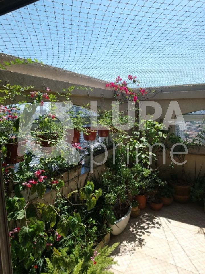 cobertura-venda-sao-paulo-jardim-sao-paulo-3dormitorios-1suite-2vagas-124m2-LS28590