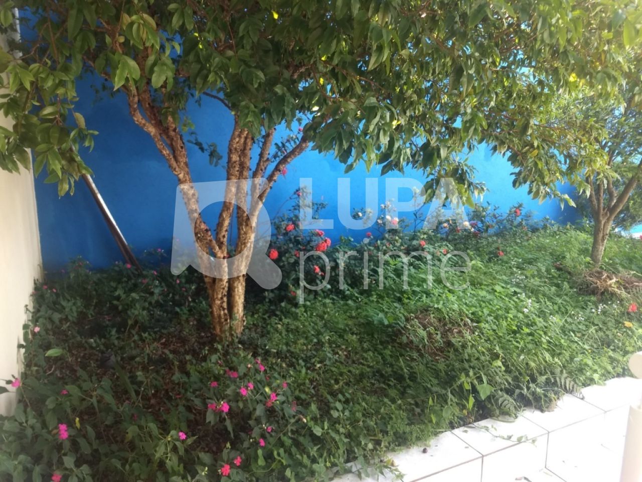 sobrado-venda-sao-paulo-horto-florestal-3dormitorios-1suite-2vagas-300m2-LS28768